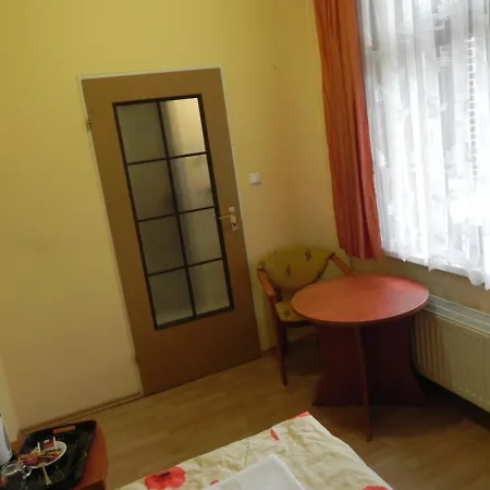 Magnolia Lądek-Zdrój