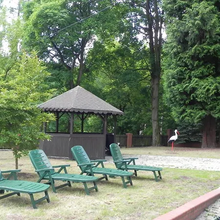 Magnolia Lądek-Zdrój