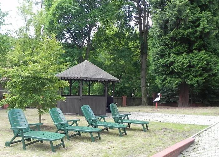 Magnolia Lądek-Zdrój